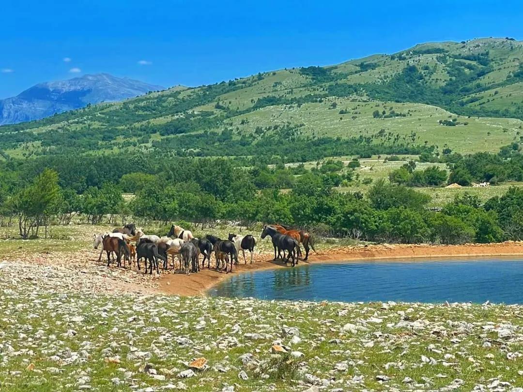 Holiday Resort Zlatni Dol Mostar Goranci Dış mekan fotoğraf